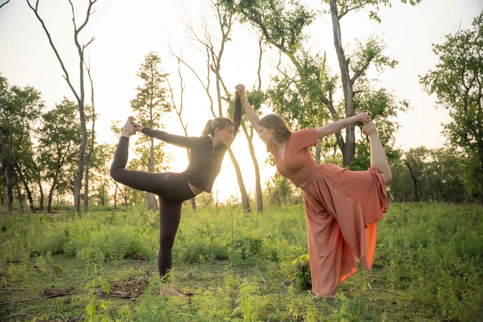 Yoga School training landscape banner at The Adhisha