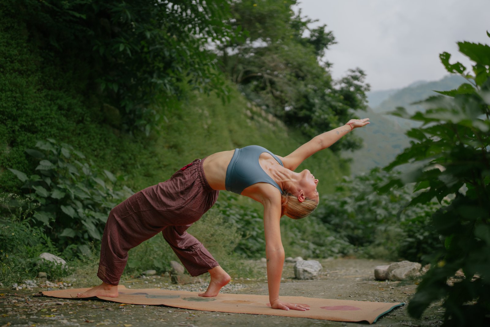 The Adhisha Yoga School Rishikesh panoramic views